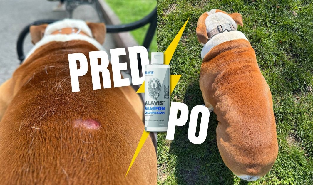 alavis šampón recenzia lilos